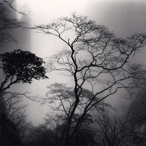 Huangshan mountains, Study 44, Anhui, China. (c) Michael Kenna, 2010. 