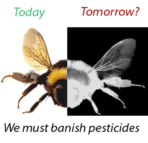 Figure 7: photographic metaphor