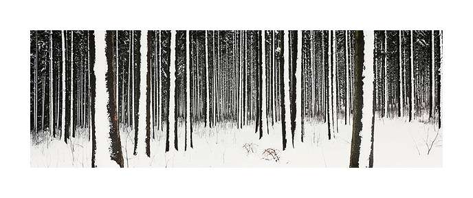 Landscape panorama by Markus Renner