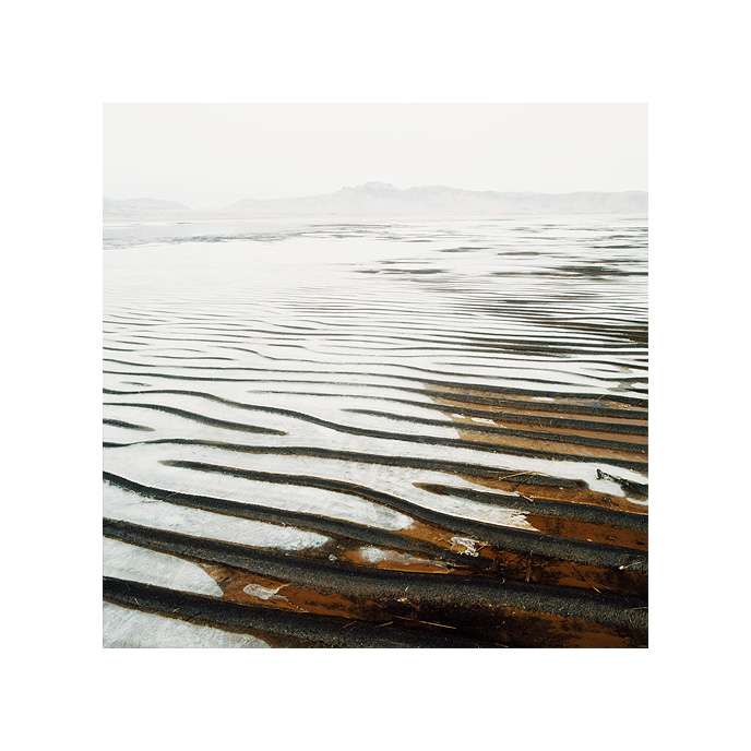purity_SQ_11
