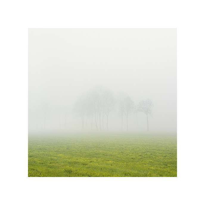 purity_SQ_31