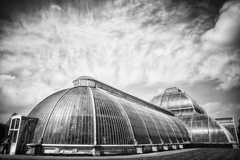 DSC_4967-Modifier