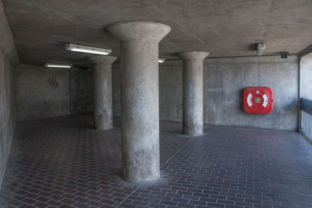 DSC_8980