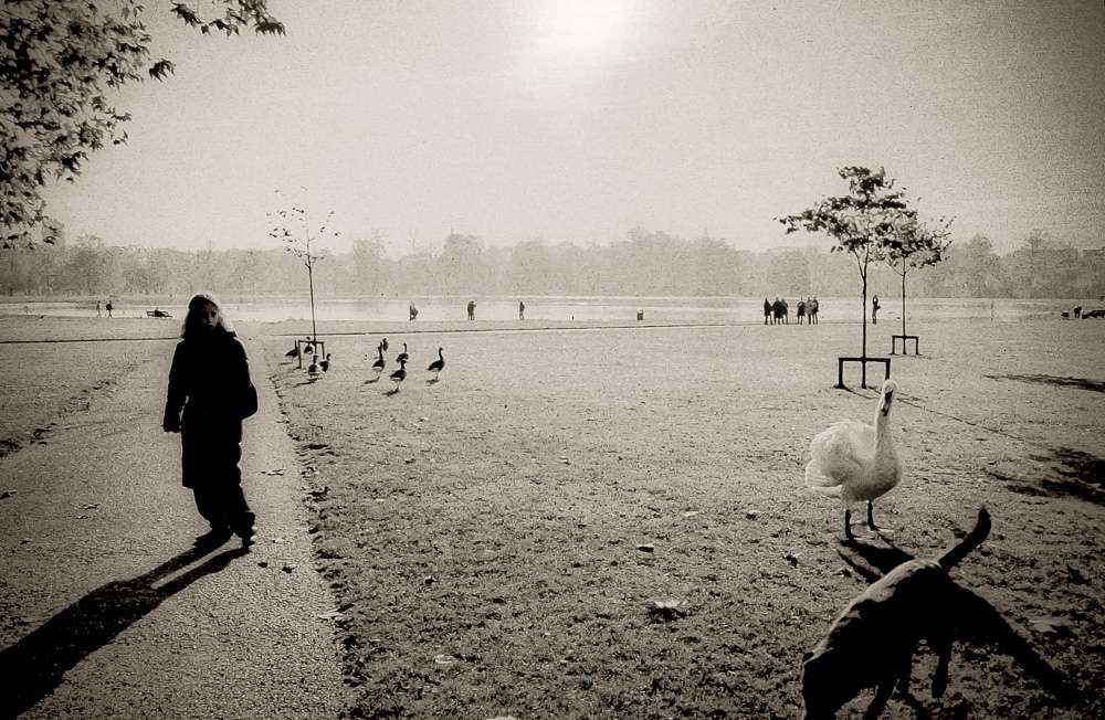 Hyde Park - London We always talk about minute differences in noise between cameras, but we forgot how high Iso film used to look... Nikon F4s + 18-35/3.5-4.5 Nikon AF-D
