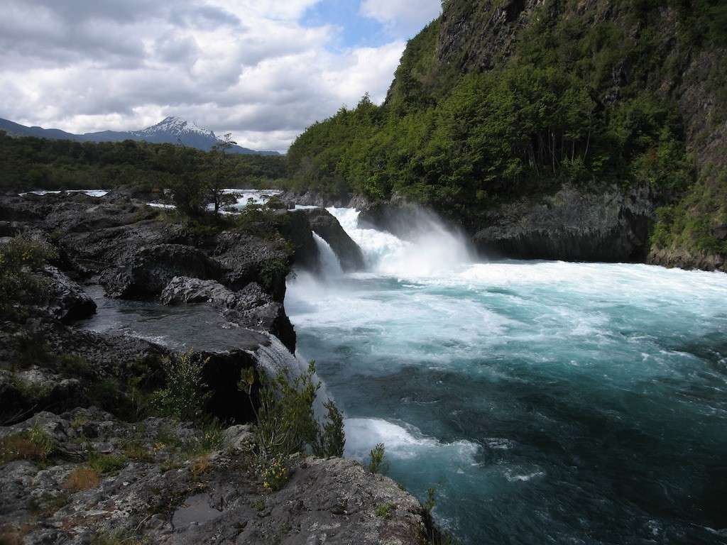 IMG_2343