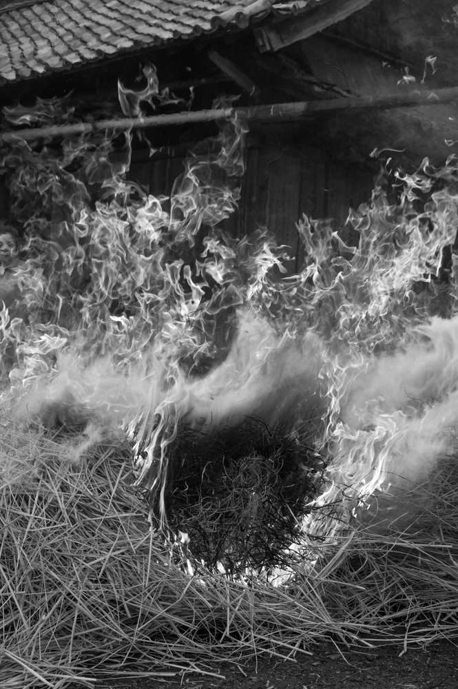 Lost Ceremony 12 - (c) Adam Marelli