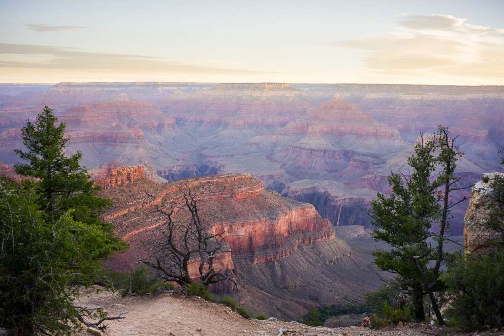 The Southern RIm of the Grand Canyon. Sony A7t & Zeiss Distagon 35/1.4 ZM