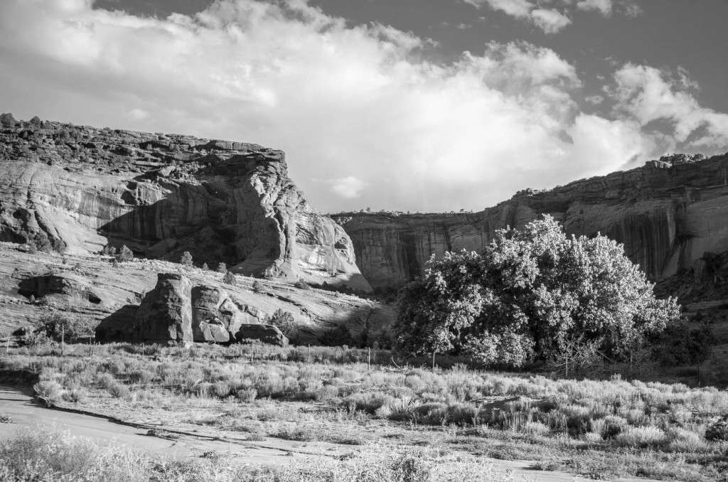 The cliffs of Canyon de Chelly at sunset