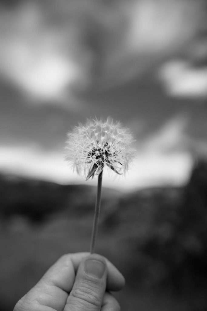DSC02742-Modifier