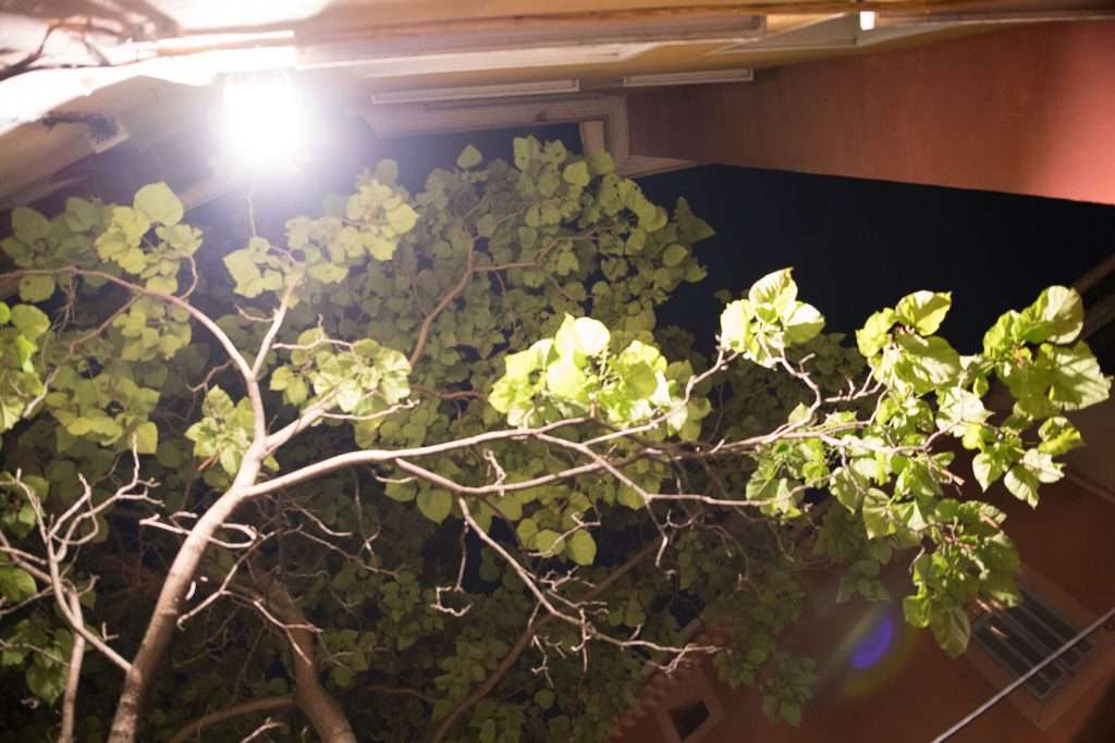 DSC03662