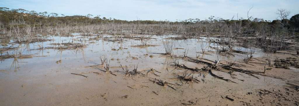DSC06056-Pano