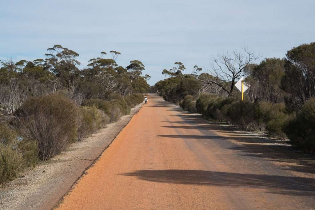 DSC06065