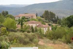 dsc03884-loxia