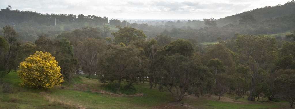 dsc05203-pano