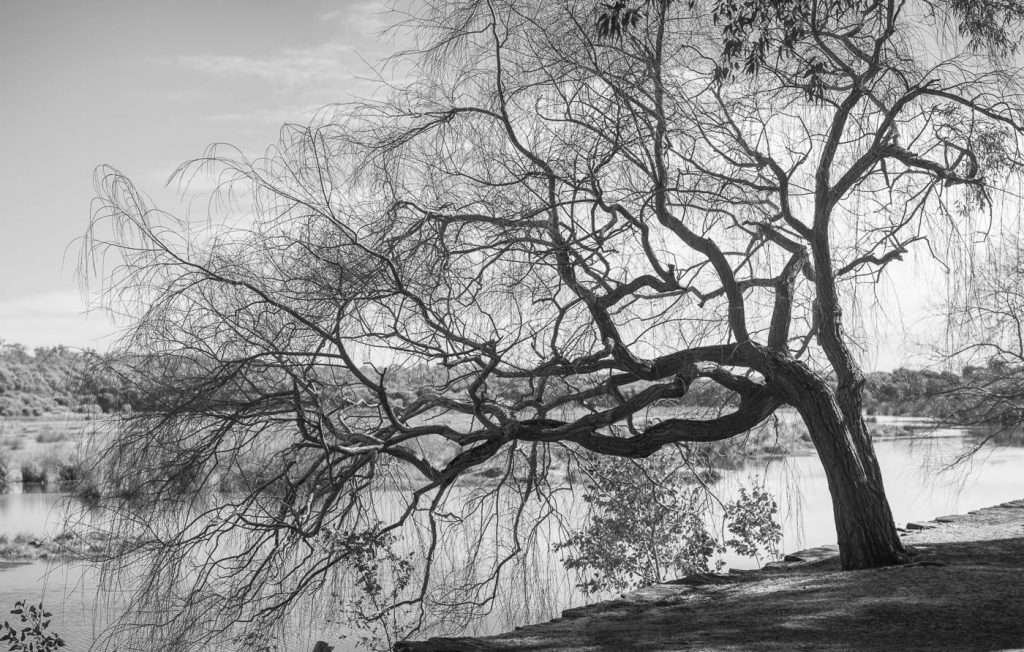 dsc05443-pano