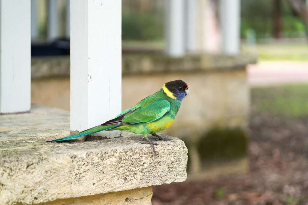 dsc05598