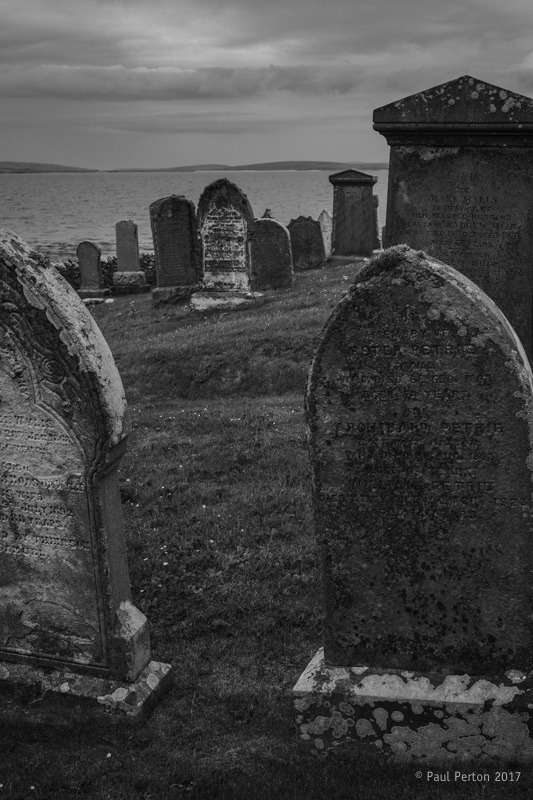 At rest. Cornquoy. X-Pro2.